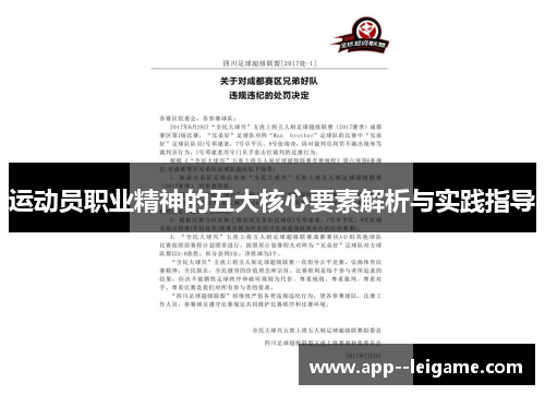 运动员职业精神的五大核心要素解析与实践指导