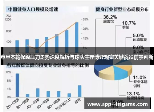 意甲本轮保级压力走势深度解析与球队生存博弈观察关键战役前景判断 意甲本轮保级压力走势深度解析与球队生存博弈观察关键战役前景判断